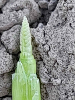 29.04.2